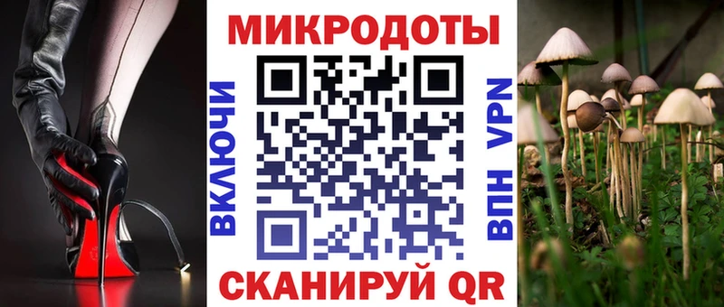 Галлюциногенные грибы Cubensis  кракен рабочий сайт  Углич 